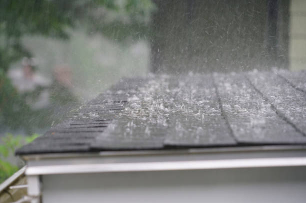 Best Roof Insulation Installation  in Evergreen, AL