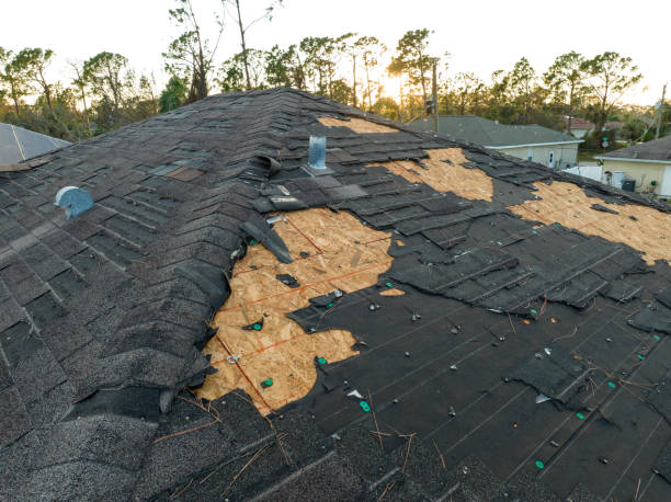 Best Roof Coating Services  in Evergreen, AL